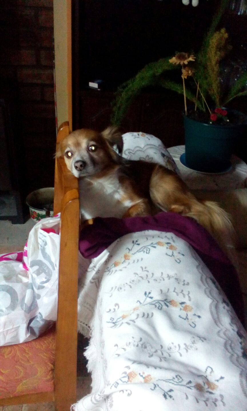 Mil formas de descansar