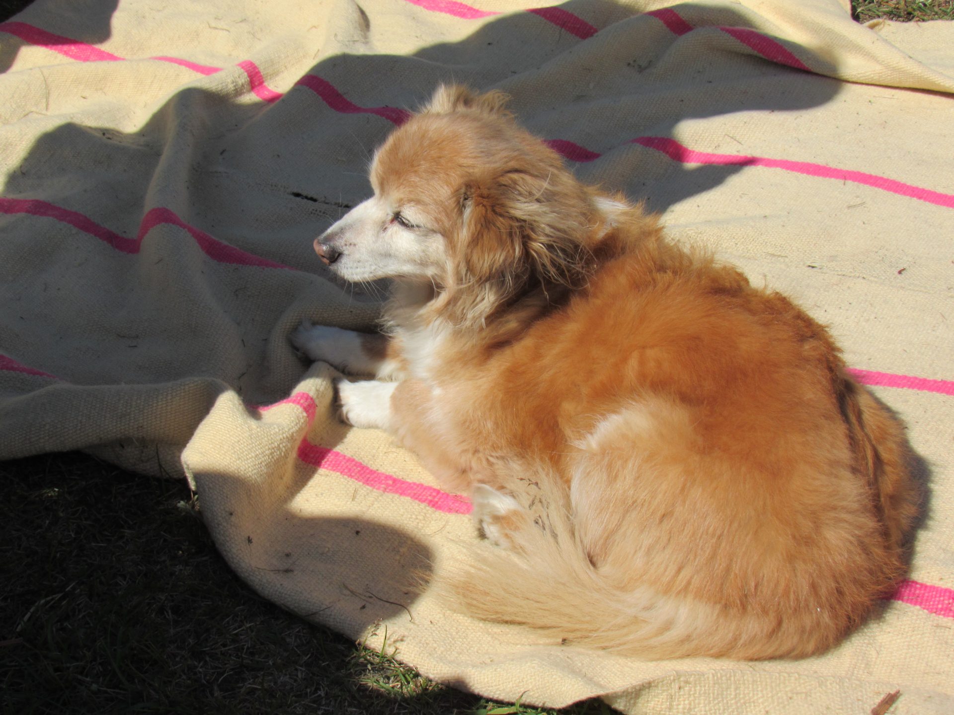 Tomando sol