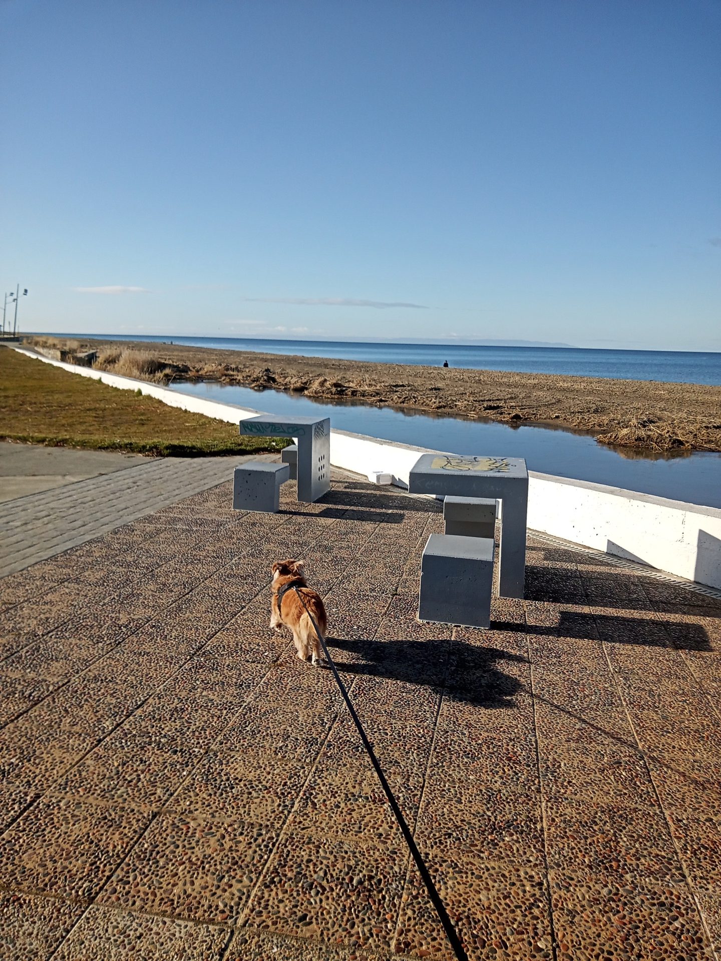 Paseo por la costanera