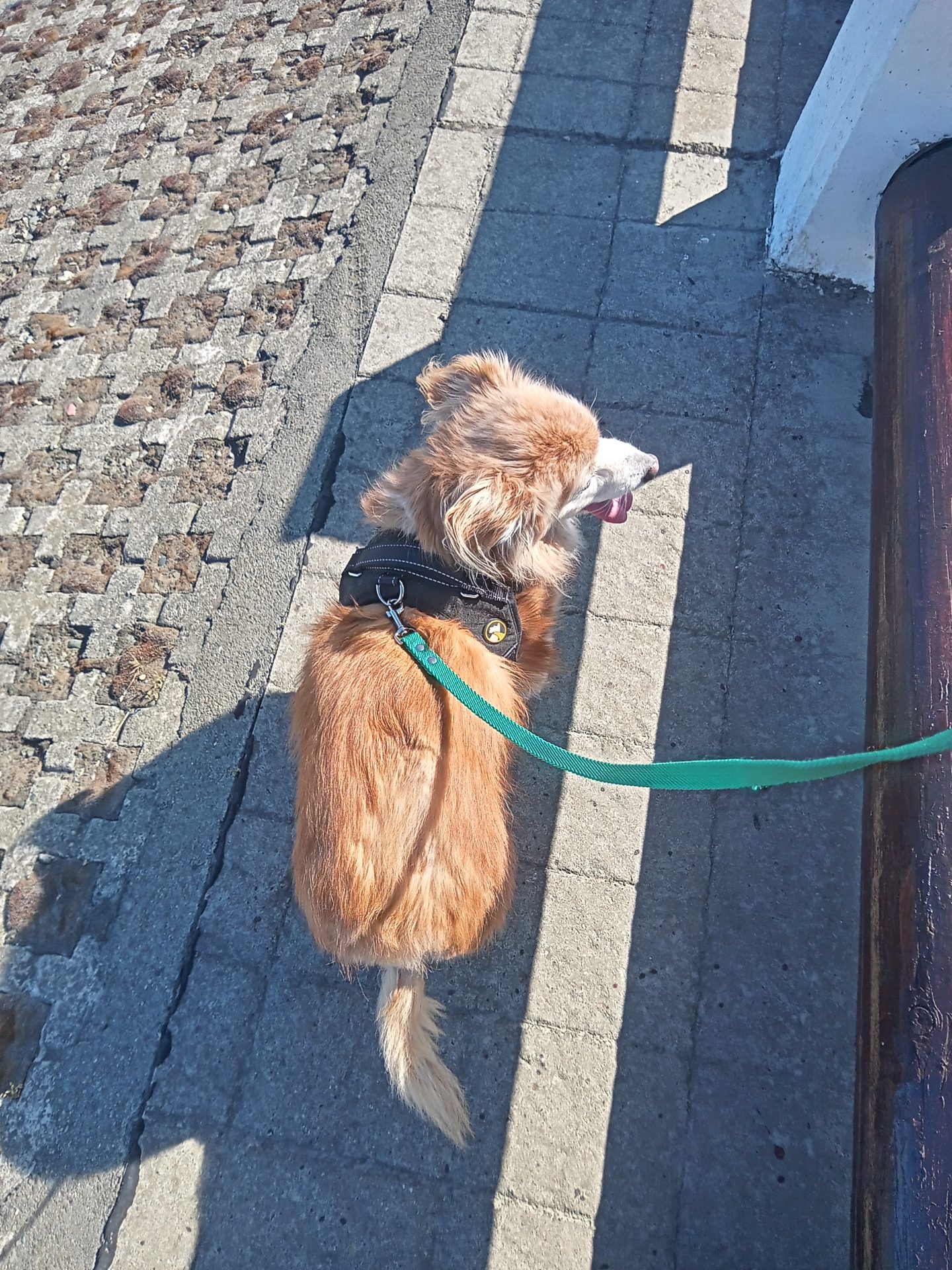 Paseito por la costanera